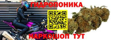 прущая мука Анапа