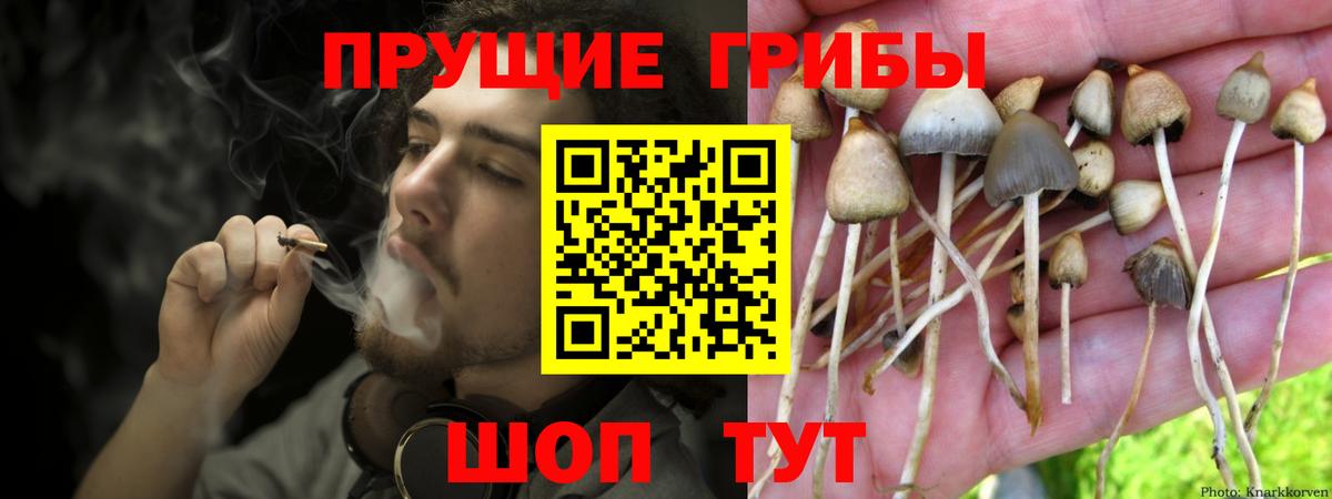Псилоцибиновые грибы MAGIC MUSHROOMS Кубинка